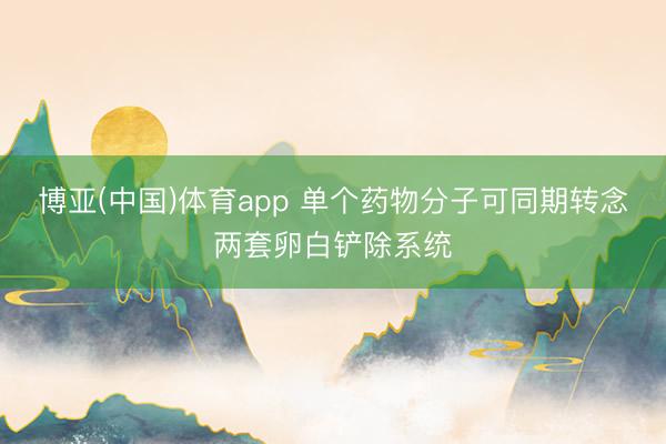 博亚(中国)体育app 单个药物分子可同期转念两套卵白铲除系统