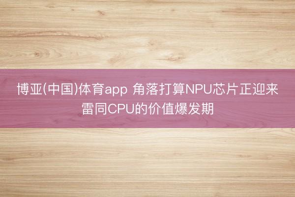 博亚(中国)体育app 角落打算NPU芯片正迎来雷同CPU的价值爆发期