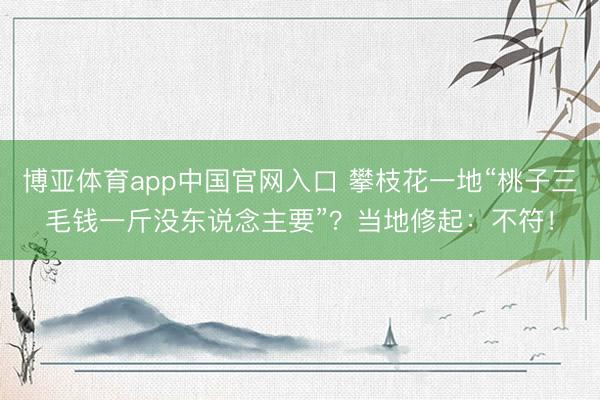 博亚体育app中国官网入口 攀枝花一地“桃子三毛钱一斤没东说念主要”？当地修起：不符！