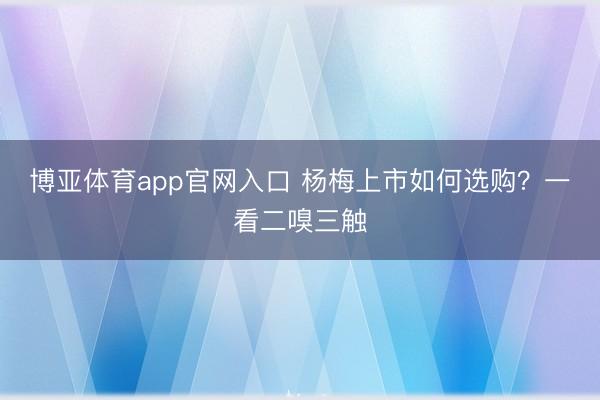 博亚体育app官网入口 杨梅上市如何选购？一看二嗅三触