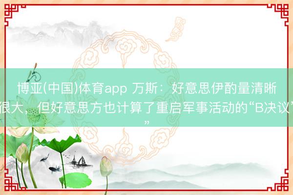 博亚(中国)体育app 万斯：好意思伊酌量清晰很大，但好意思方也计算了重启军事活动的“B决议”