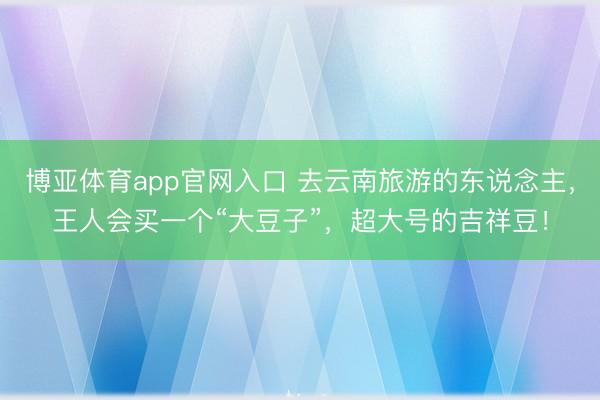 博亚体育app官网入口 去云南旅游的东说念主，王人会买一个“大豆子”，超大号的吉祥豆！