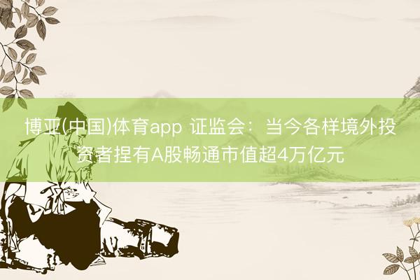 博亚(中国)体育app 证监会：当今各样境外投资者捏有A股畅通市值超4万亿元