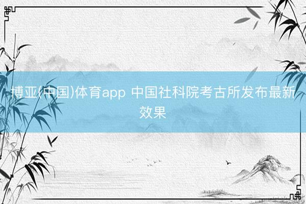 博亚(中国)体育app 中国社科院考古所发布最新效果