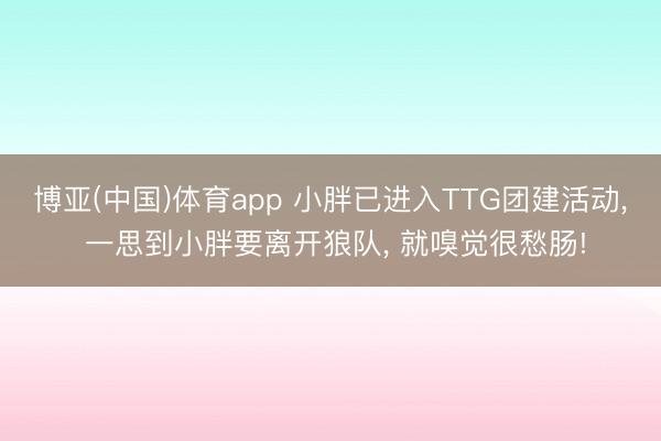 博亚(中国)体育app 小胖已进入TTG团建活动, 一思到小胖要离开狼队, 就嗅觉很愁肠!