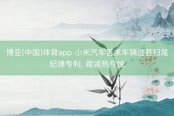 博亚(中国)体育app 小米汽车苦求车辆过甚扫尾纪律专利， 裁减热亏蚀
