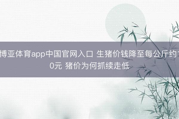 博亚体育app中国官网入口 生猪价钱降至每公斤约10元 猪价为何抓续走低
