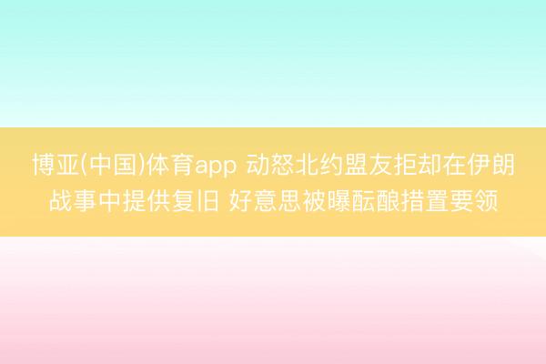 博亚(中国)体育app 动怒北约盟友拒却在伊朗战事中提供复旧 好意思被曝酝酿措置要领