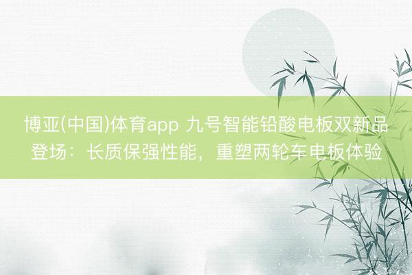 博亚(中国)体育app 九号智能铅酸电板双新品登场：长质保强性能，重塑两轮车电板体验