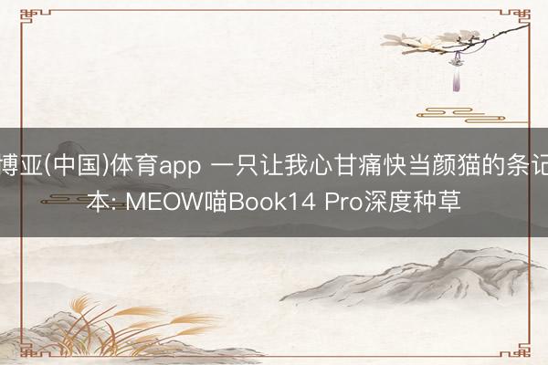 博亚(中国)体育app 一只让我心甘痛快当颜猫的条记本: MEOW喵Book14 Pro深度种草