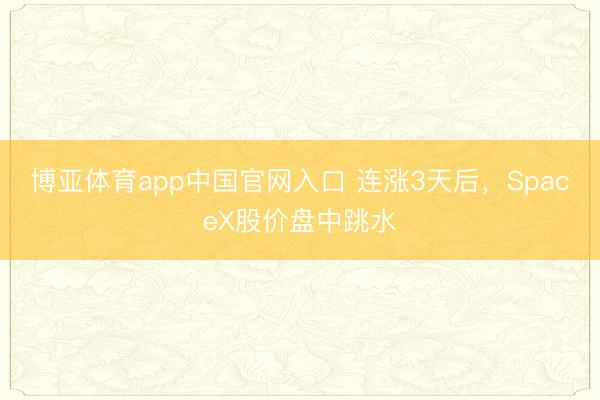博亚体育app中国官网入口 连涨3天后,SpaceX股价盘中跳水